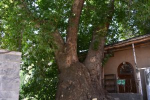 جاذبه‌ های گردشگری روستای دهبار