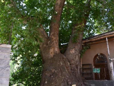 جاذبه‌ های گردشگری روستای دهبار
